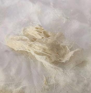 刚穿上的羽绒服就沾上了污渍？不用水洗不留痕迹，一擦一抹就干净