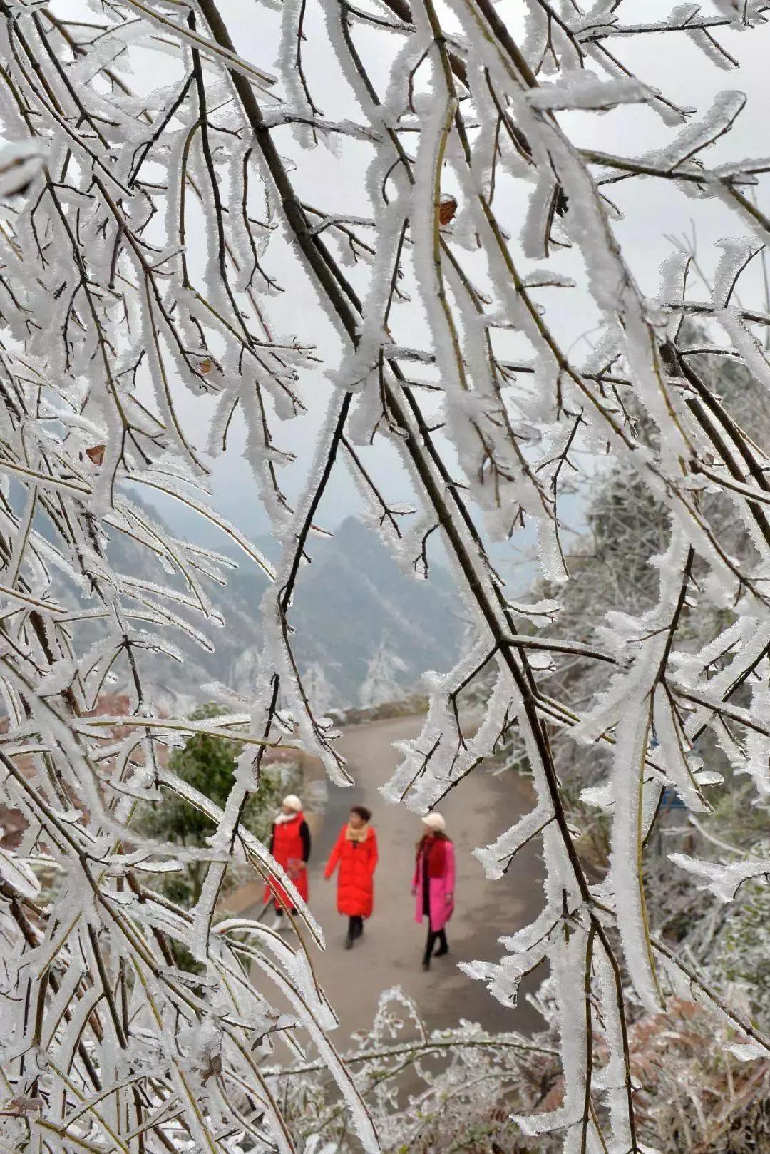 贵阳云雾山云海,贵阳云雾山雾凇旅游攻略