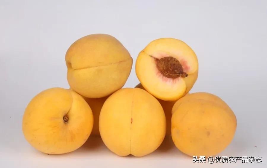 鲜食黄桃产地哪里的最好,什么种类的黄桃最好吃又甜