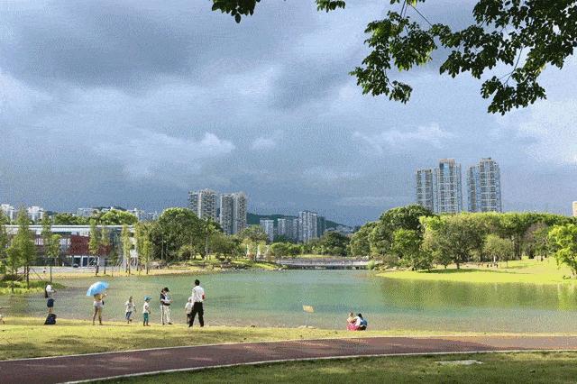 深圳先行示范区放宽市场准入,深圳先行示范区行动方案