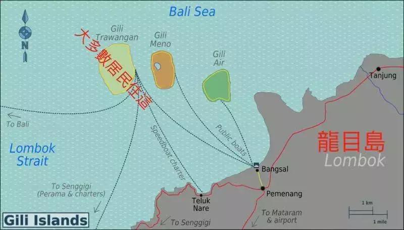 26岁上海女孩在印尼浮潜失联 (26岁女硕士在巴厘岛浮潜时失踪)