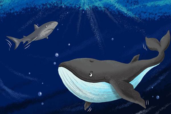 鱼在水里是怎么游来游去,鱼在水里游泳主要靠什么