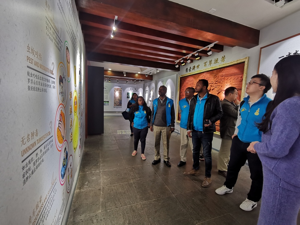 非洲兄弟到罗浮山:哈,原来当年救命药宗源在这呢!