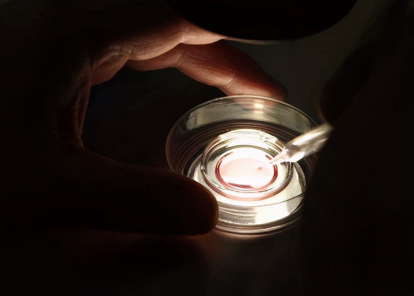 要想移植后保胎成功，哪些药是非用不可？