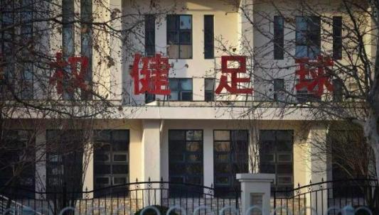 天津权健为什么改名天津天海,天津权健以前的队徽