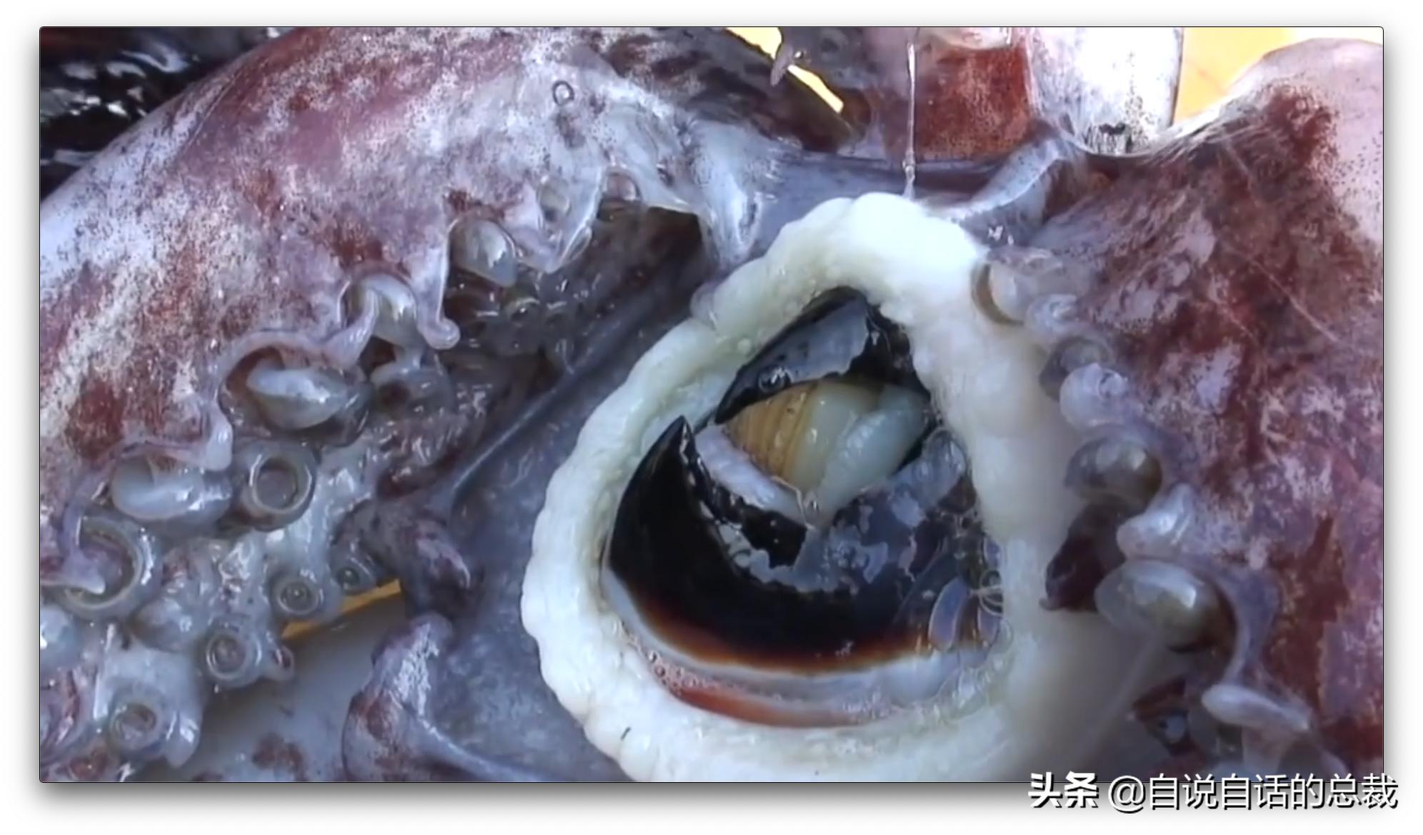 美国探测深海潜艇失踪事件,美国海神号发现了什么