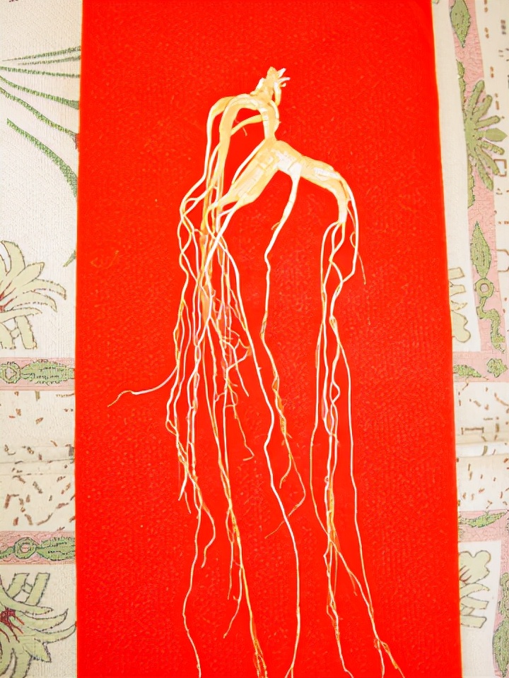 吉林地理标志农产品,吉林省23个国家地理标志农产品