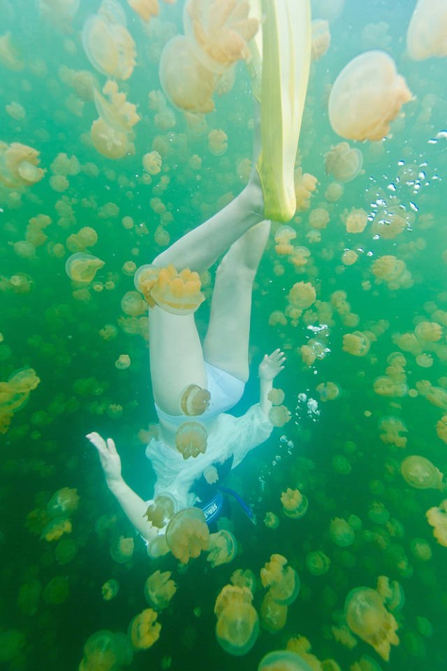 比马尔代夫更高级的岛屿,太平洋海岛帕劳旅游攻略