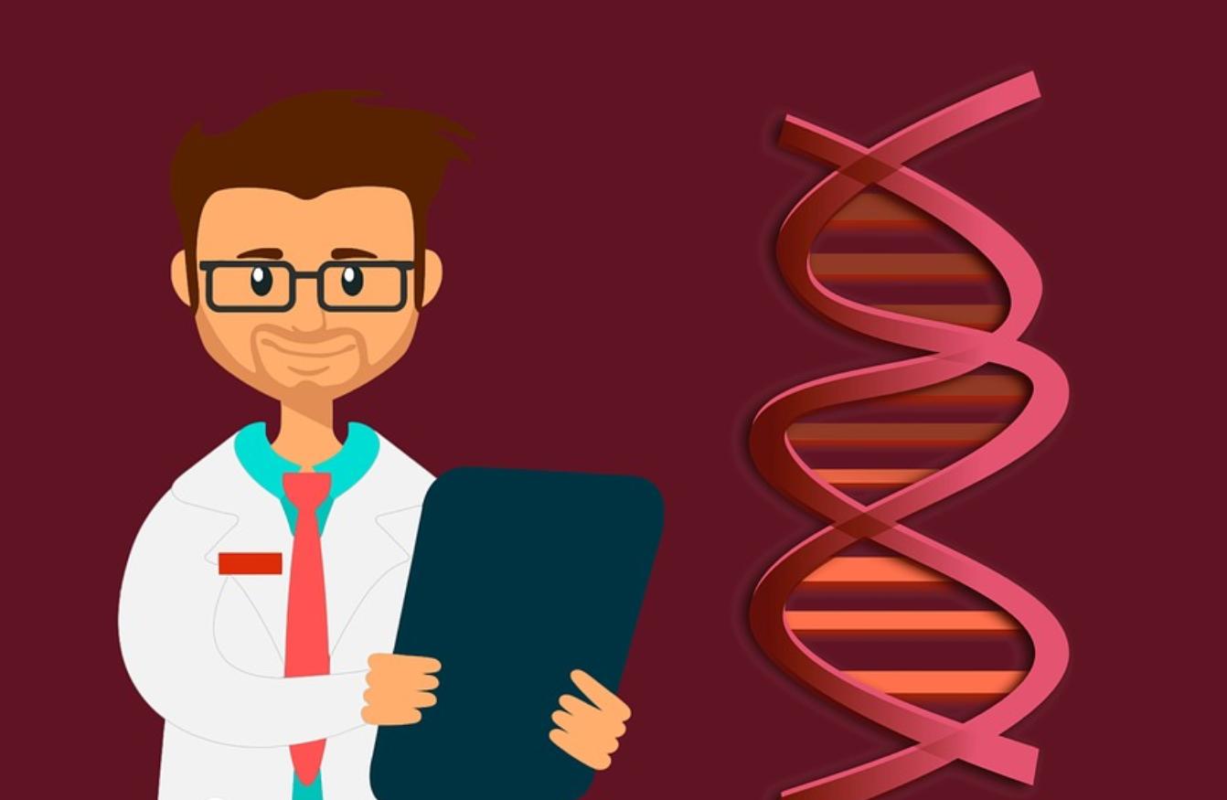 猪猴杂交新物种,世界首例猪猴杂交在中国诞生