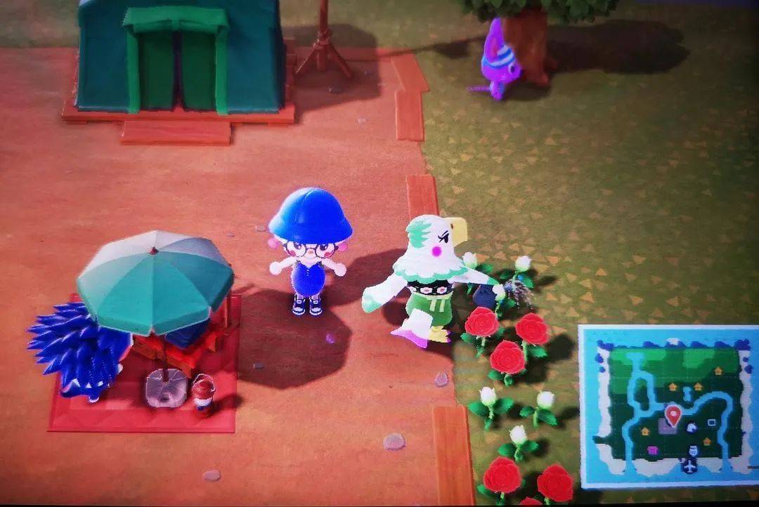 动森为什么这么好看,动森为什么好玩