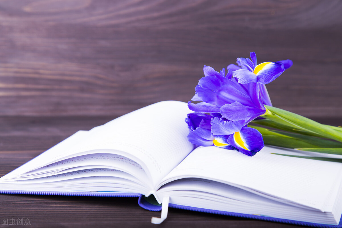 股价七天跌近50%,股价连续跌了16天了