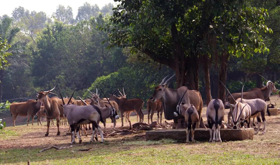 不远的旅游景点推荐,不远不贵不累8个国内亲子游