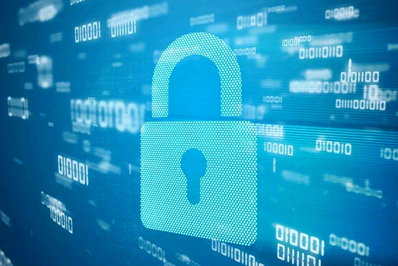 素数有哪些用途，北美洲有一种蝉，利用素数性质来巧妙躲避天敌！