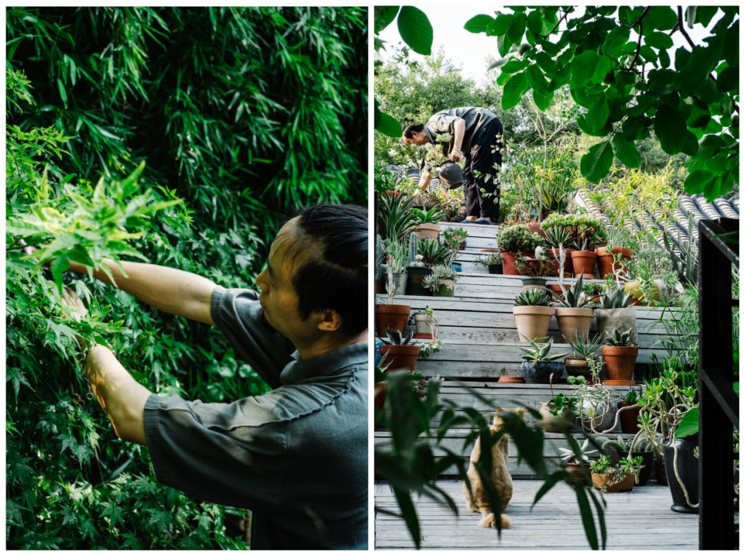 老实说，哥哥们爱起花草来，更疯狂