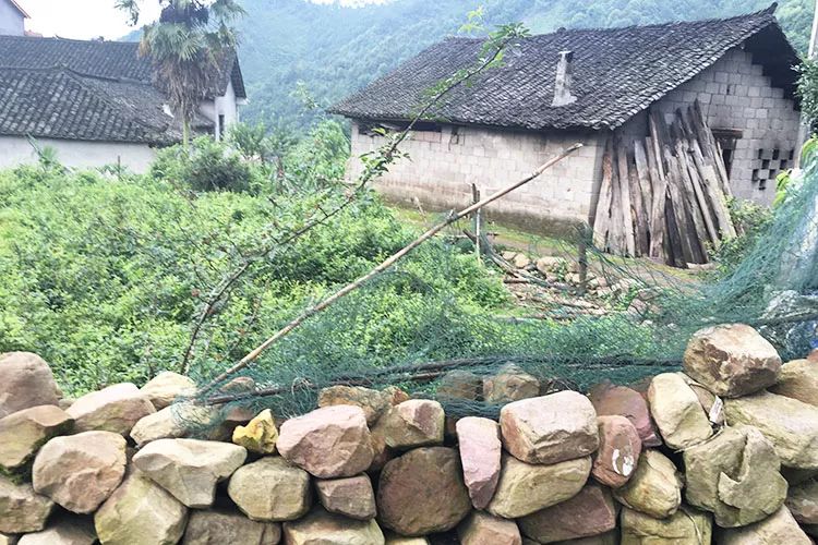 “磨叽哥”的另类代购生意：全村的希望，不做网红想做企业家