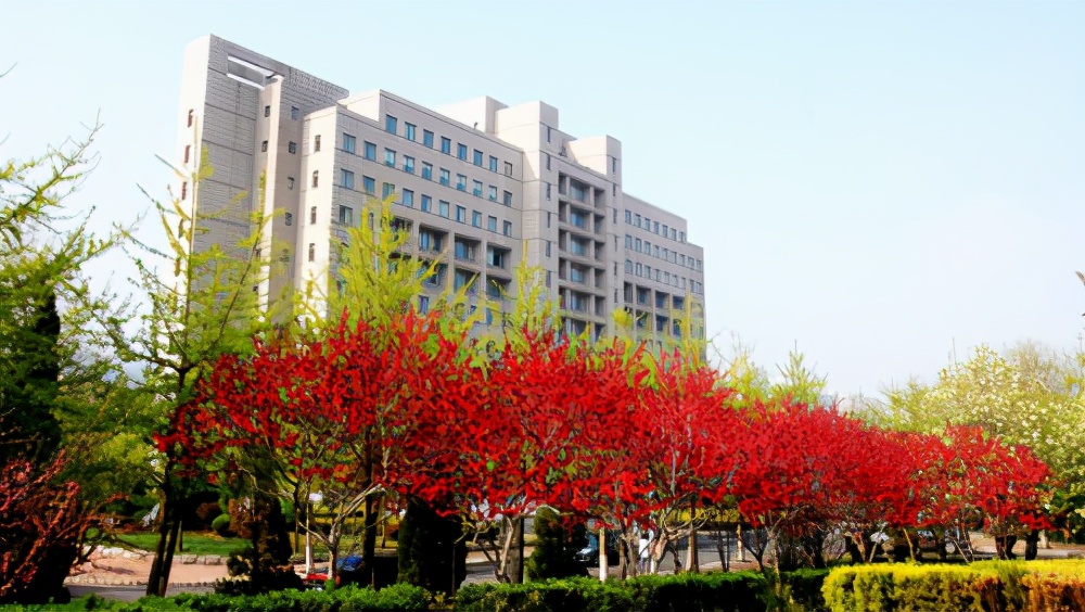 江西财经和东北财经哪个更好,江西财经和东北财经会计哪个好