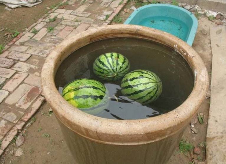 三伏四十天什么时候入伏,三伏总共多少天什么时间入伏