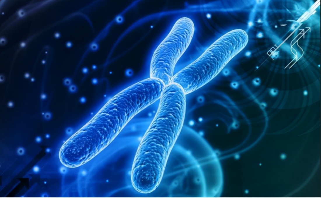 人类寿命最新研究,人类寿命有没有打破自然规律