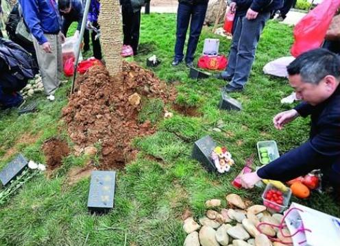 坟头塌子孙稀什么意思,坟头塌消子孙稀是啥意思