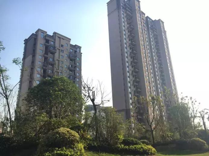 碧桂园这几年的发展,桂碧园园林景观