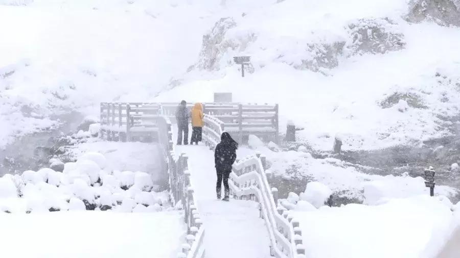 上海雪乡五日游攻略,日本雪乡一日游多少钱