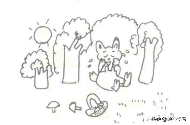 一二年级必考看图写话训练及范文,二年级看图写话写作技巧及练习