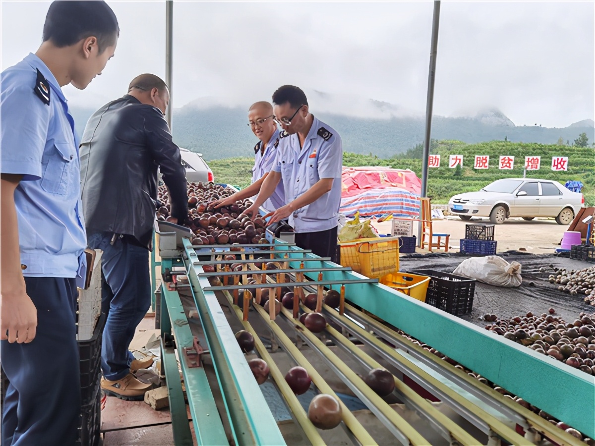 中国十大水果电商平台,果农水果电商