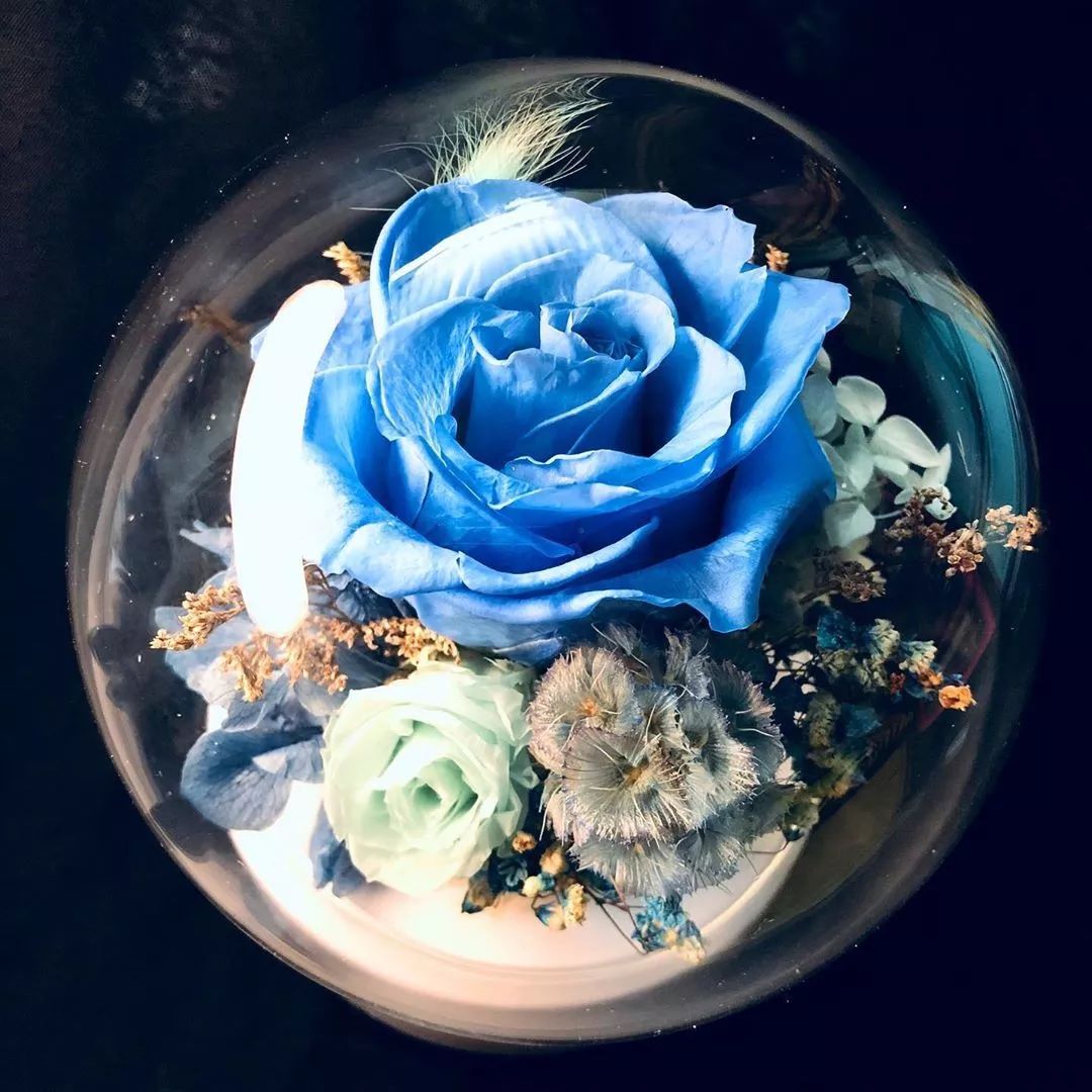 新款永生花玻璃罩,玻璃罩永生花手工diy制作