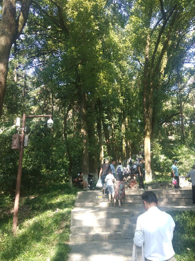 襄阳人苞谷味在臆想中的古隆中卧龙岗居于何地？