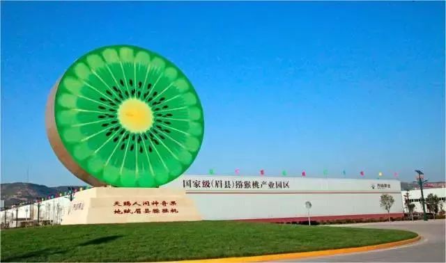 宝鸡眉县猕猴桃产业发展,宝鸡眉县猕猴桃龙头企业