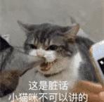 米其林轮胎做法大全,中国美食米其林