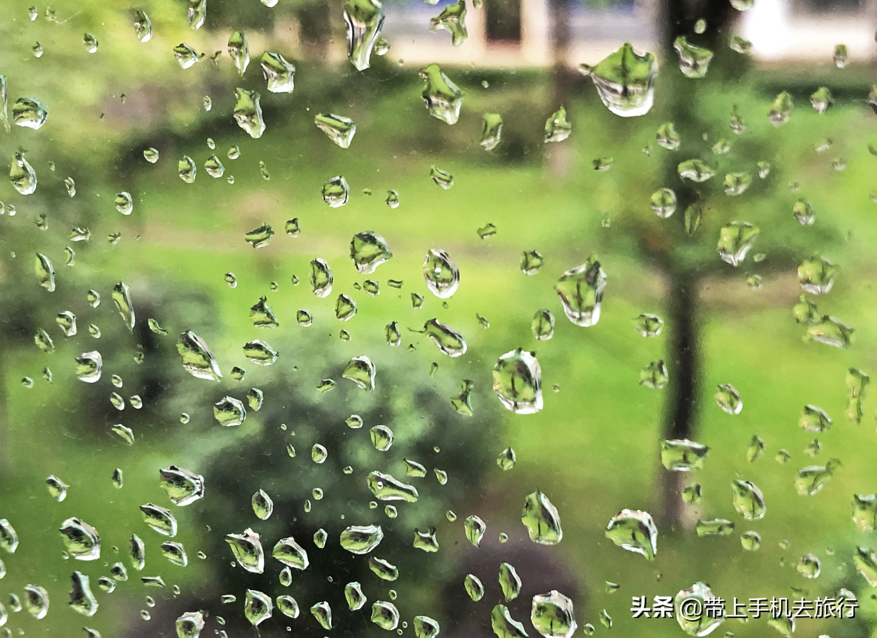 “减法”、虚化和“加法”,让画面瞬间干净简洁唯美