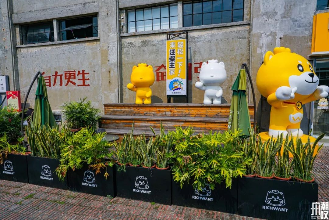 新潮展览+撸狗，广州这家新开的汪星人主题店萌爆了