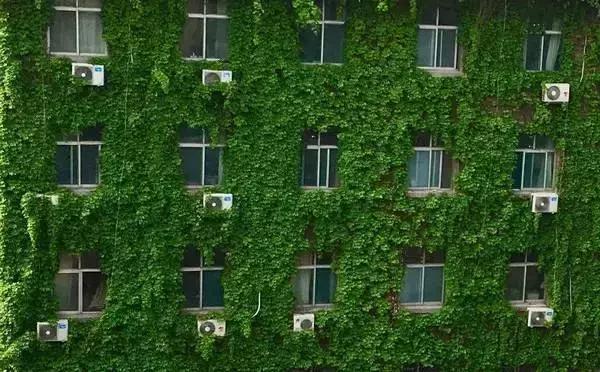 在济南，有种青春叫省实验！