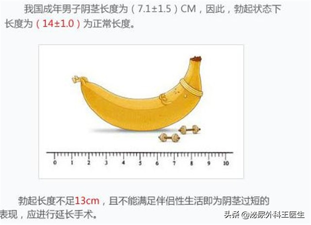 男性阴茎长度人均18cm？别被骗了！这个长度才正常