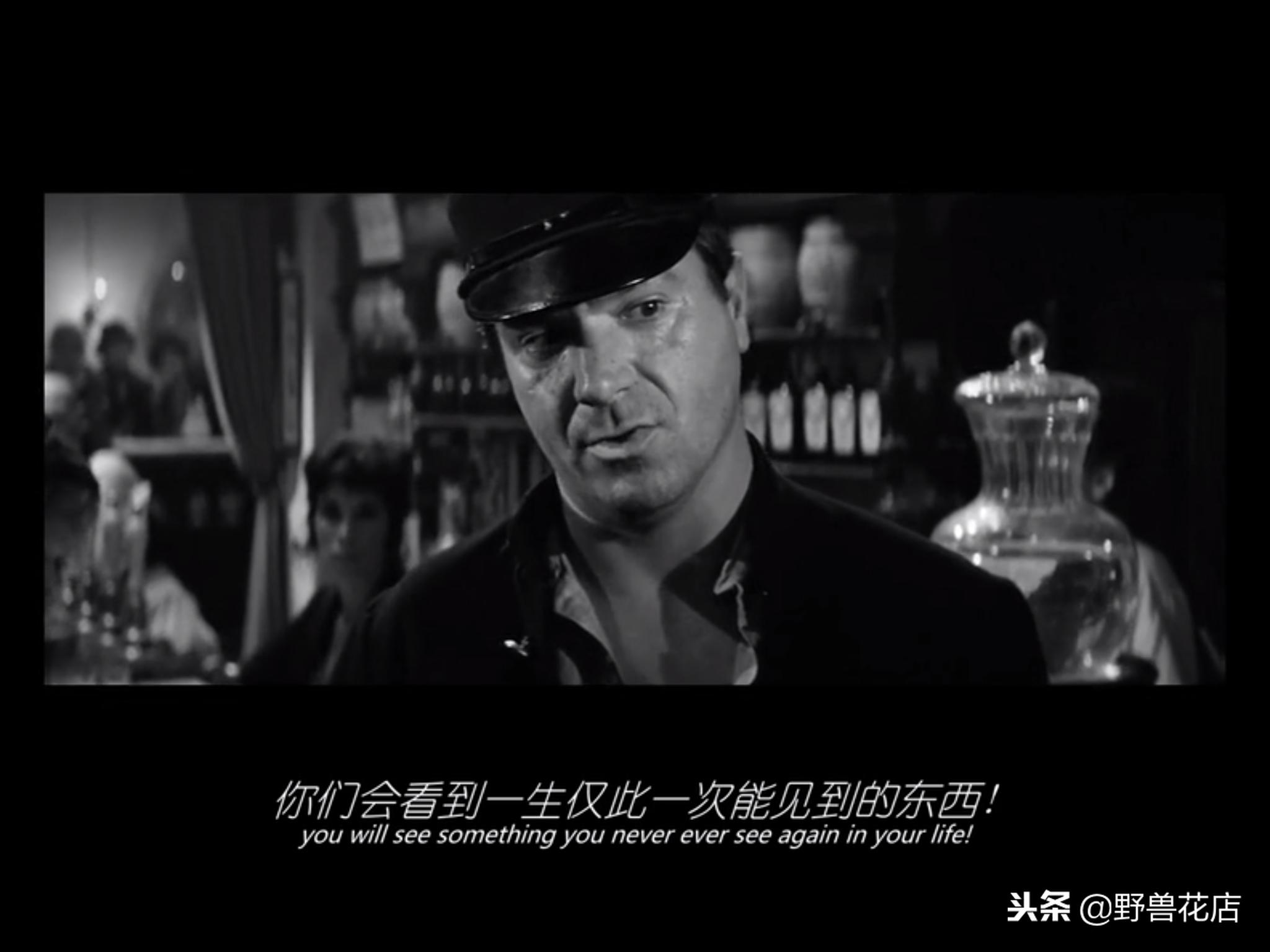 关于大象的经典电影,有关于大象的电影