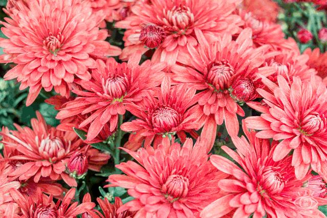 最美湖泊小众风景,最美湖泊西湖