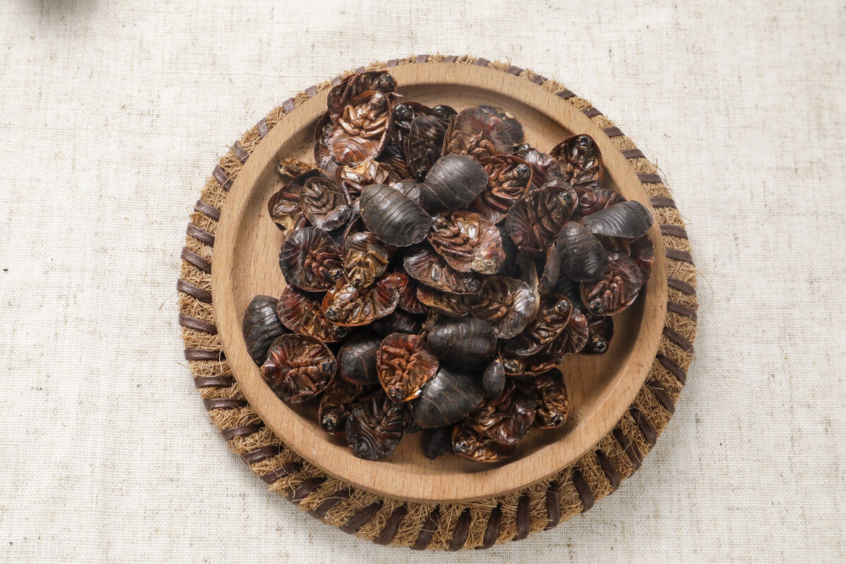 身披铠甲的土肥圆，土鳖不是形容词，而是餐桌上100一斤的美食