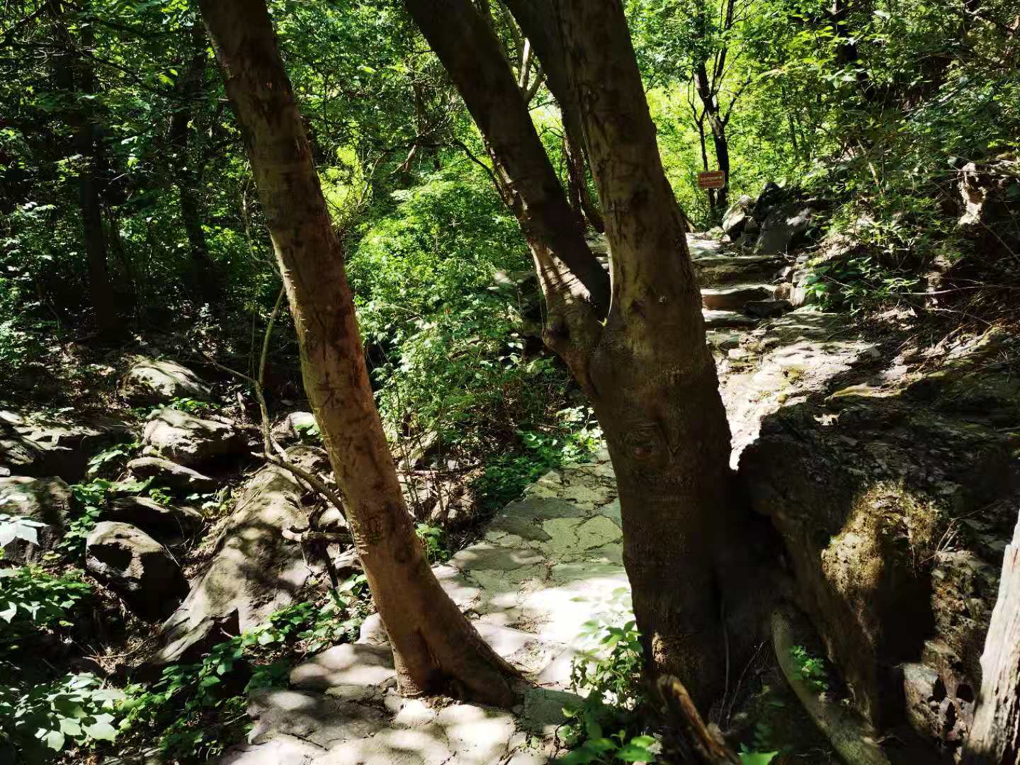 打卡北京双龙峡风景区,十里溪流百潭瀑布,北方小九寨名不虚传