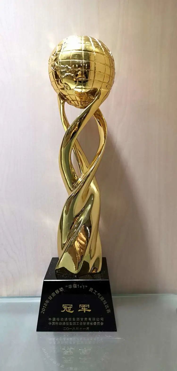 排球队的精神,排球队