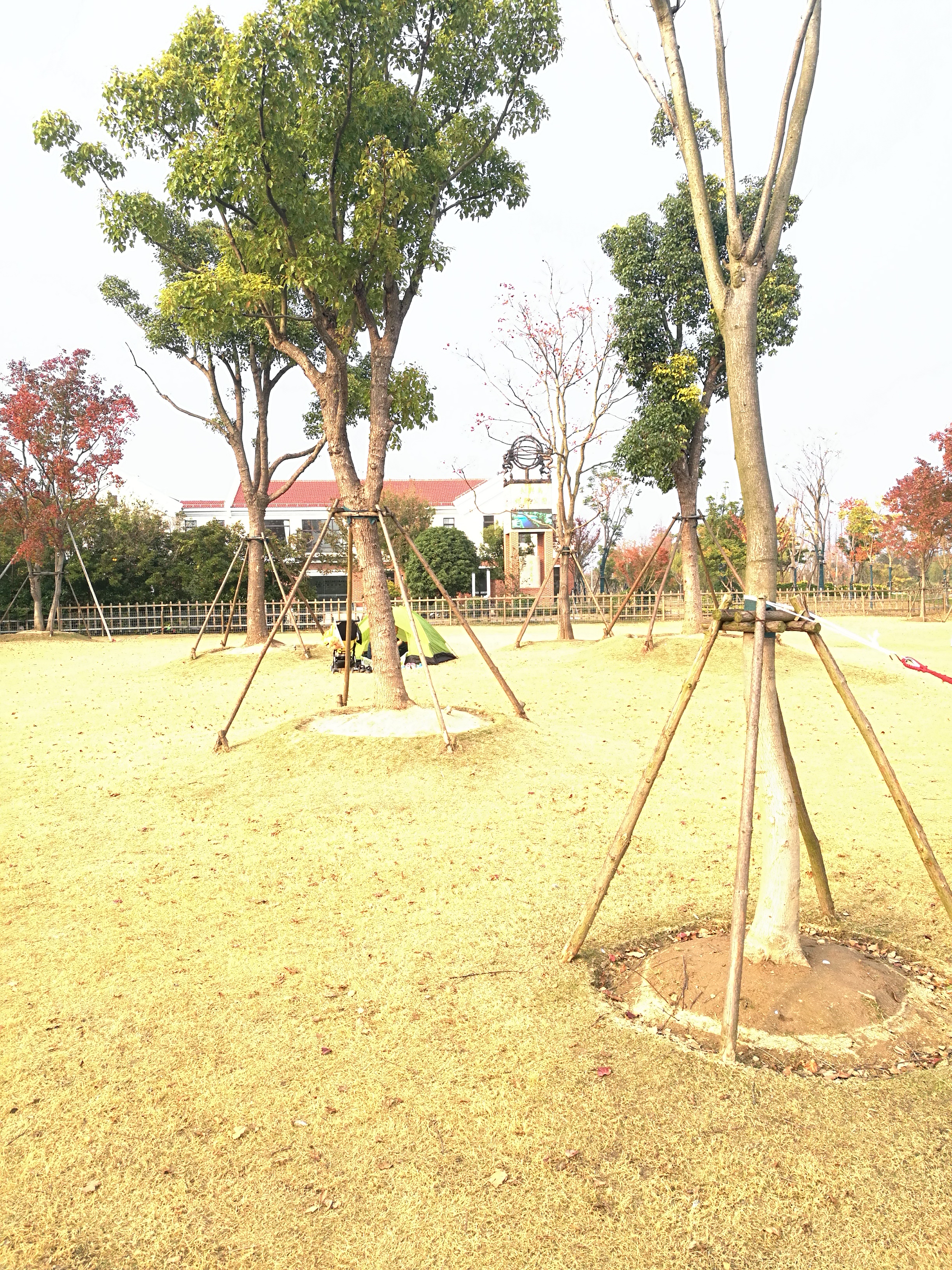 上海长兴岛郊野公园可以看见海吗,长兴岛郊野公园离上海站有几公里