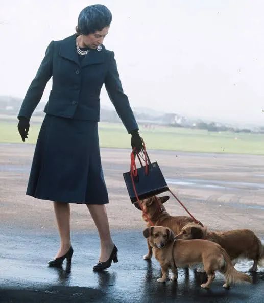 英国女王拿过的包包,英国伊丽莎白女王二世包包