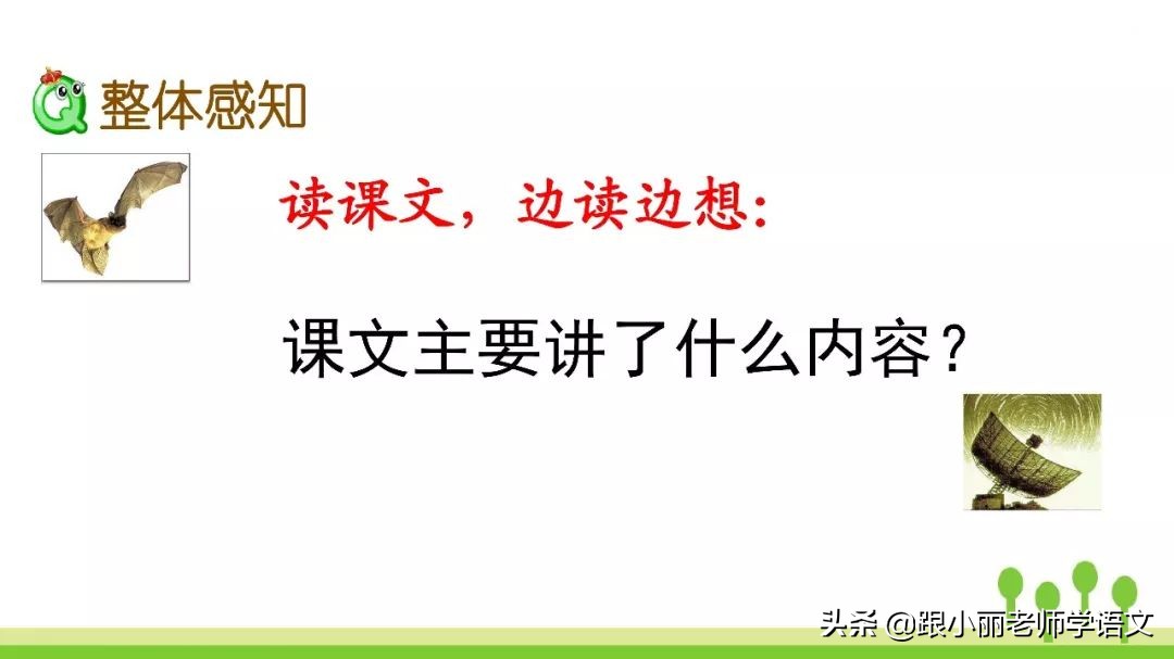语文思维导图四年级上蝙蝠和雷达,人教版四年级上册蝙蝠和雷达朗读