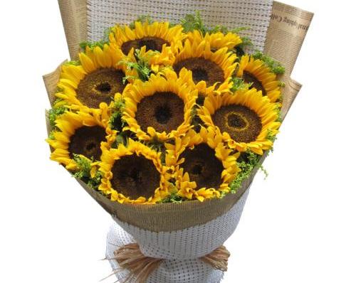 花店花束学习,花店花束插花入门自学书籍