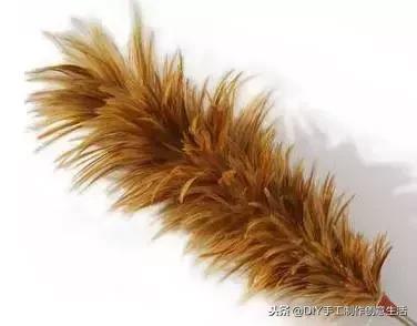 没想到，中国人玩剩下的东西却成了世界潮流！轮时尚，只服中国