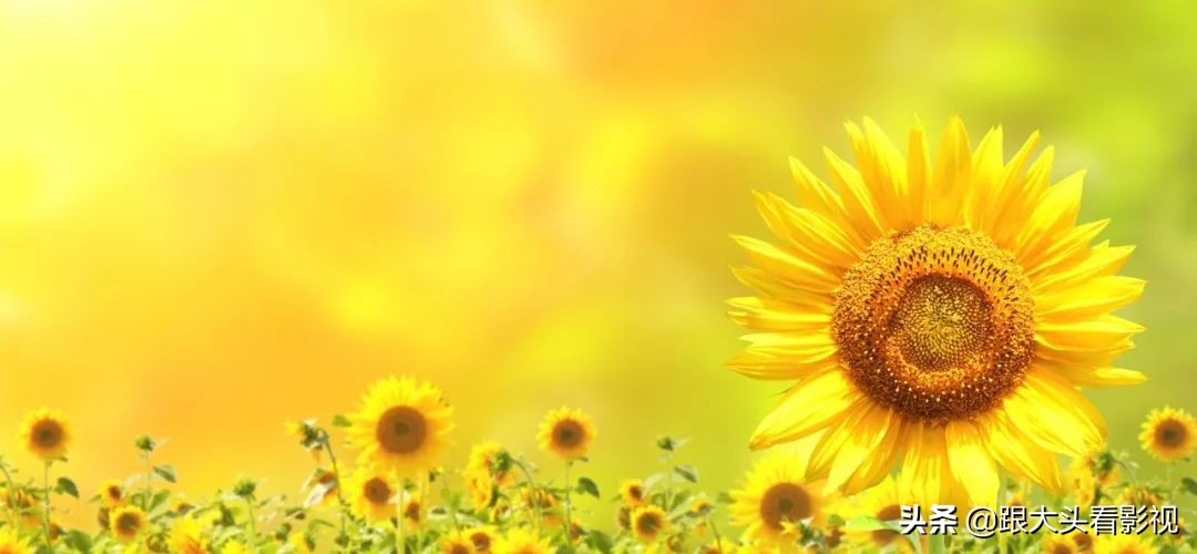 令人动容曾经支教的老师,支教老师的心酸与泪水