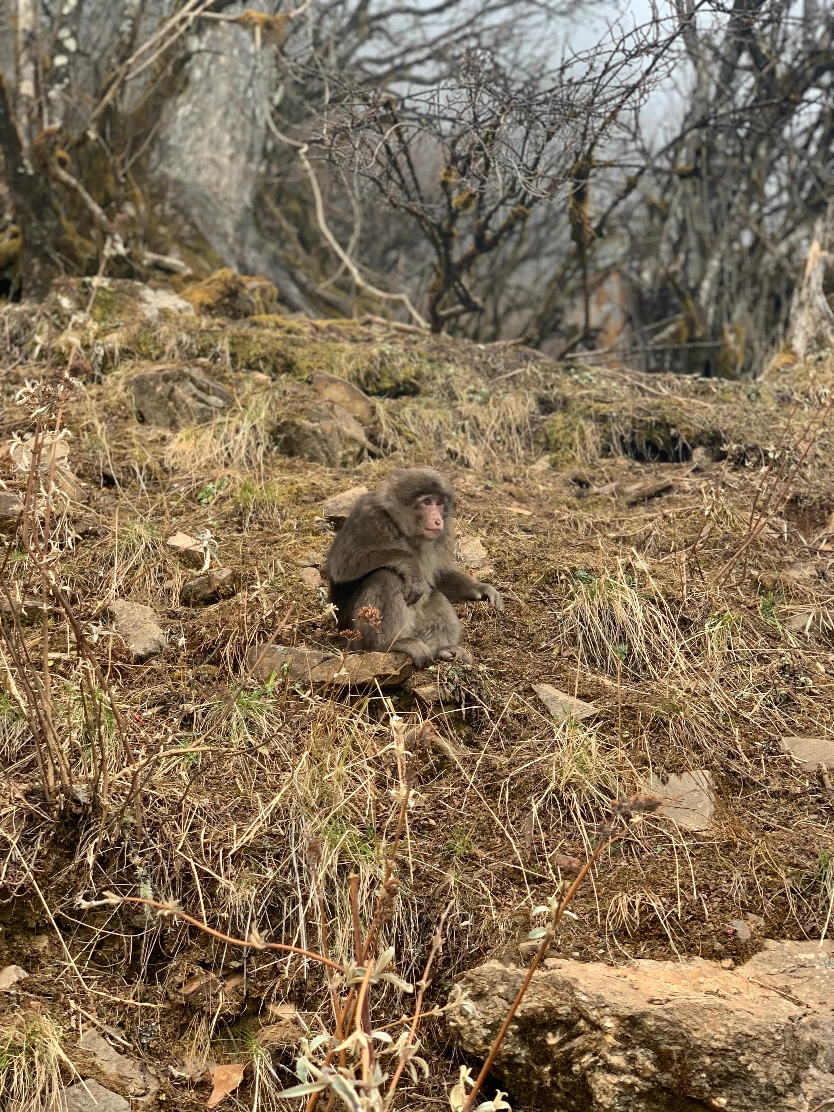 海螺沟燕子沟旅游攻略,海螺沟和燕子沟哪个更值得去