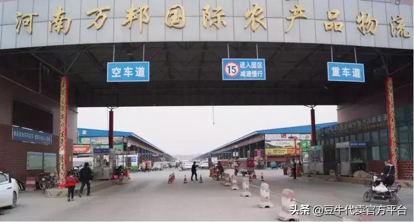 万邦水果价格最新行情,万邦水果行情