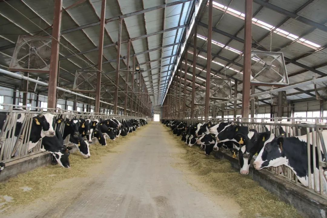 近4000人次收看——无乳链球菌的危害及清除计划的实施要点