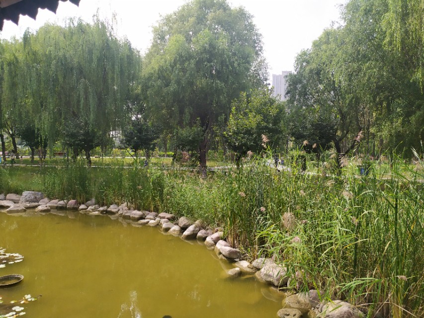 东环公园冬季图片,东环公园景点的介绍